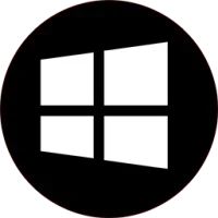 Windows 10 Pro Black Edition